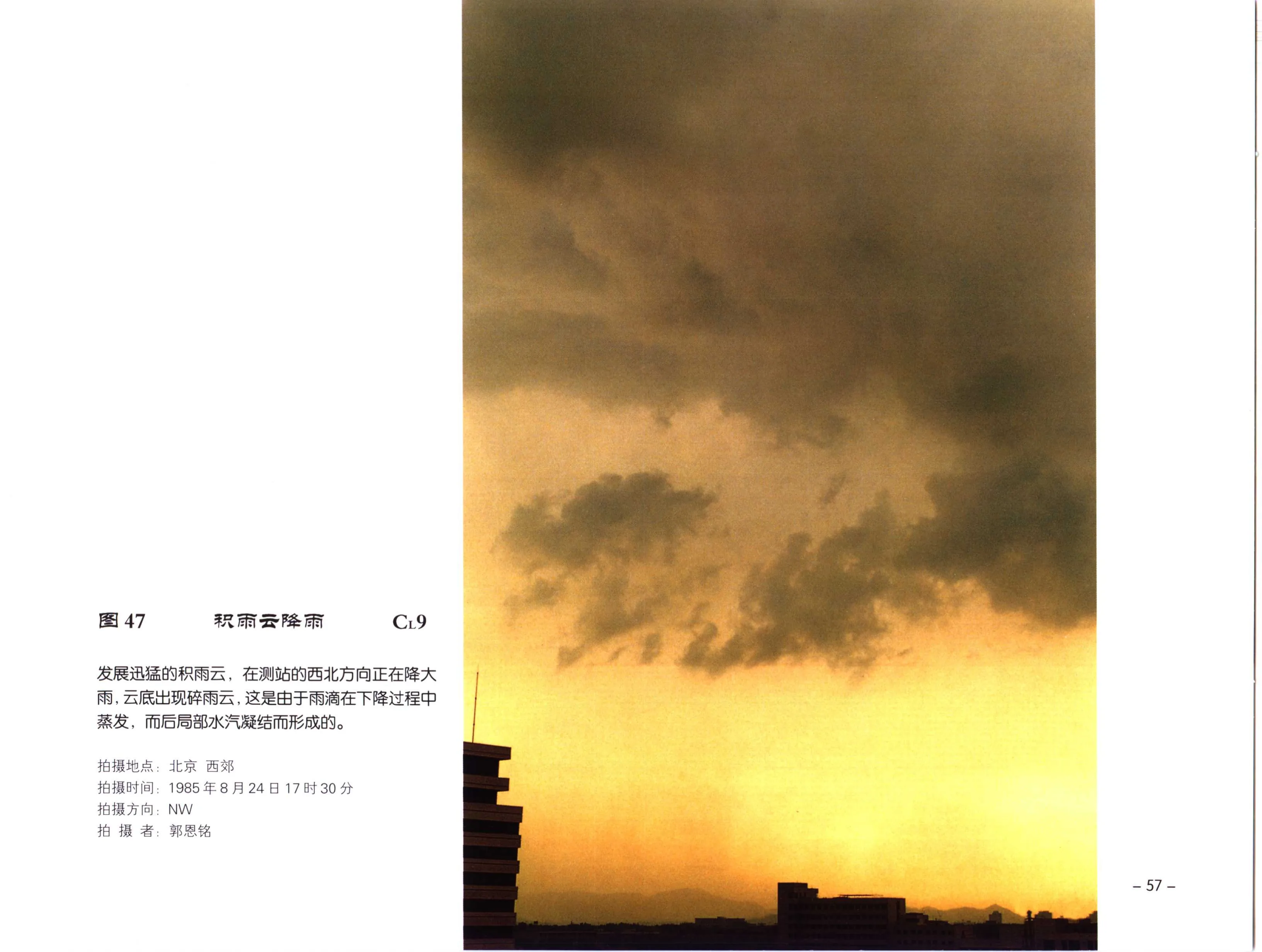 图 47