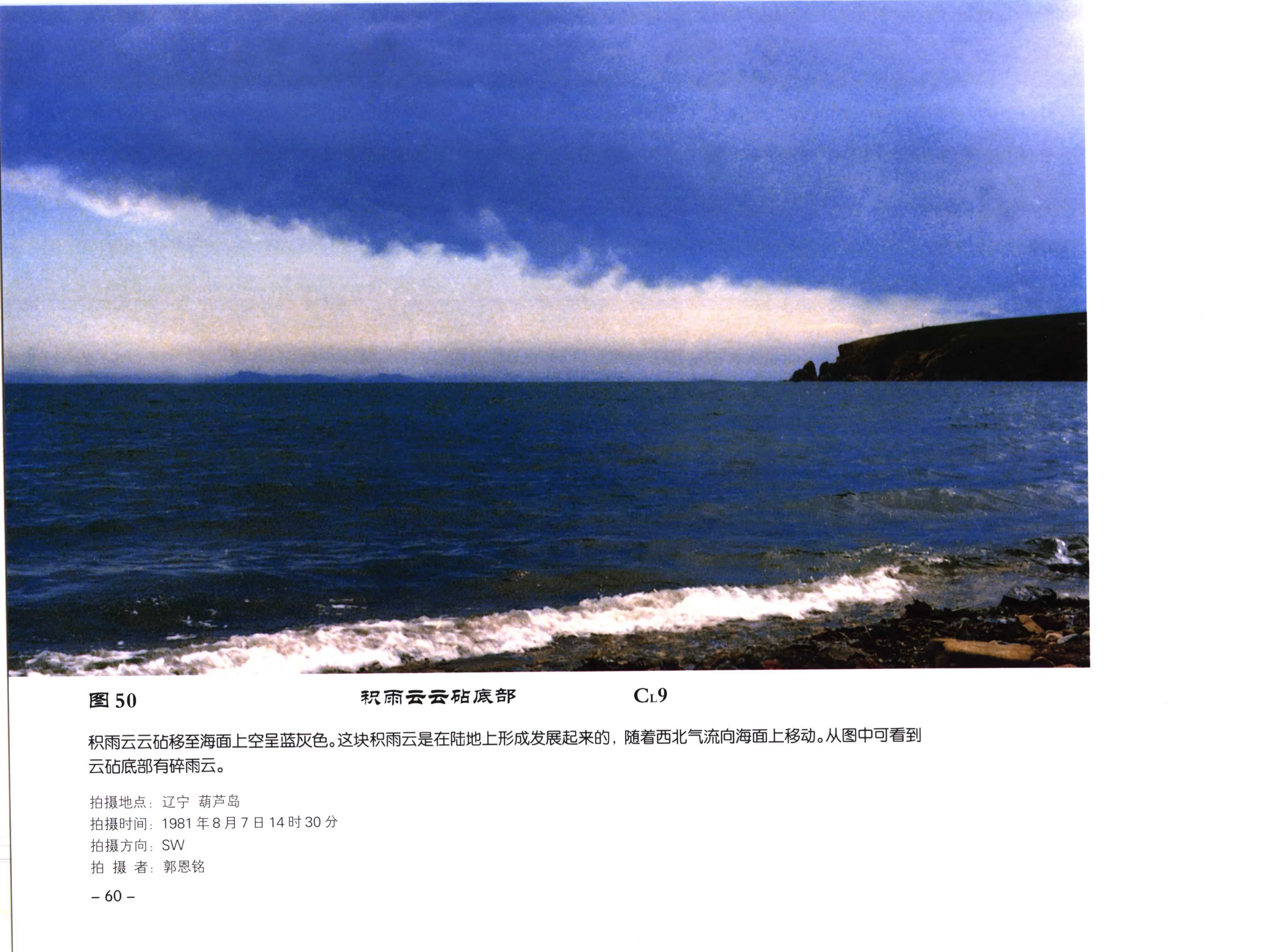 图 50