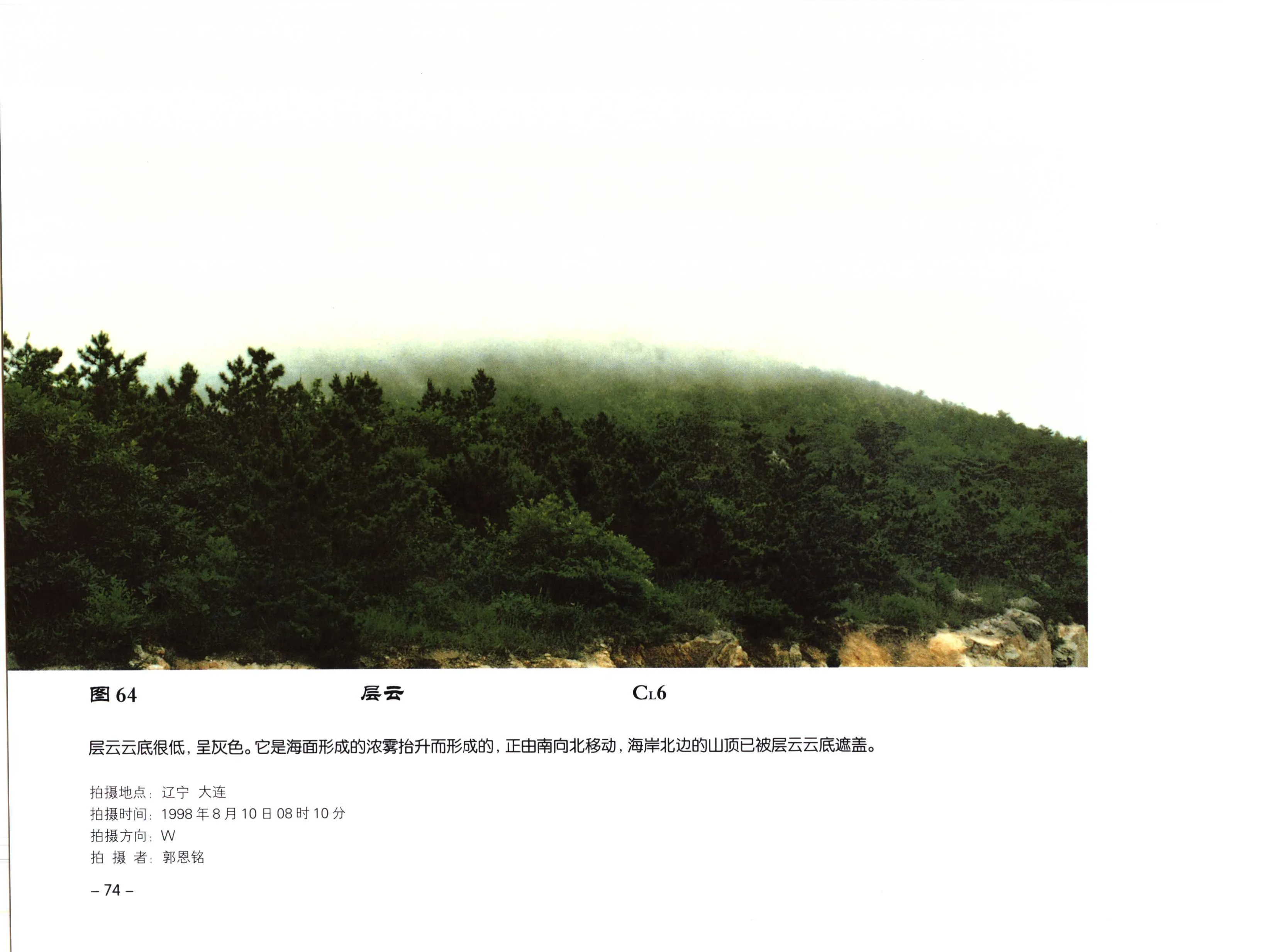 图 64