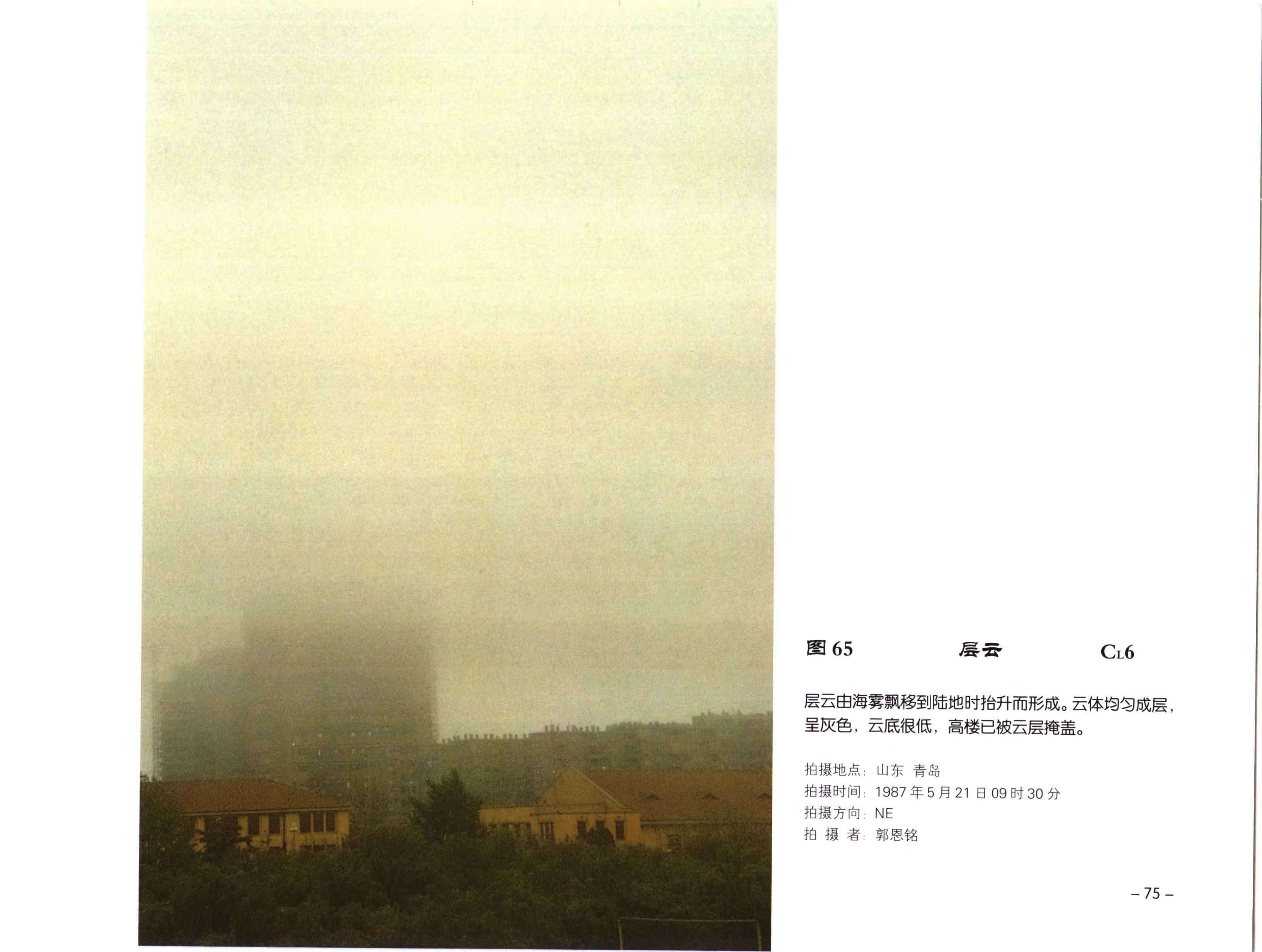 PDF 第 87 页
