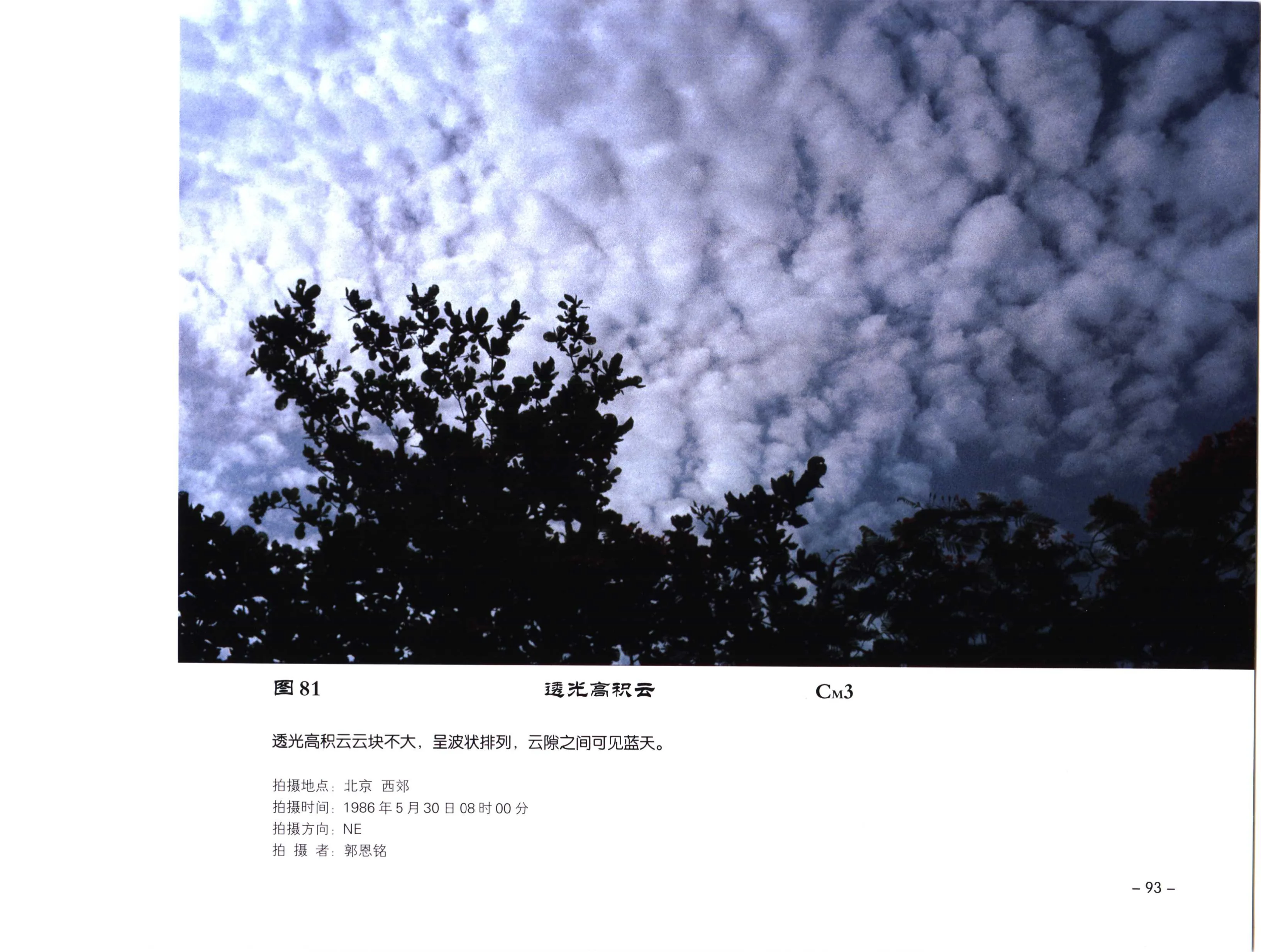 图 81:透光高积云