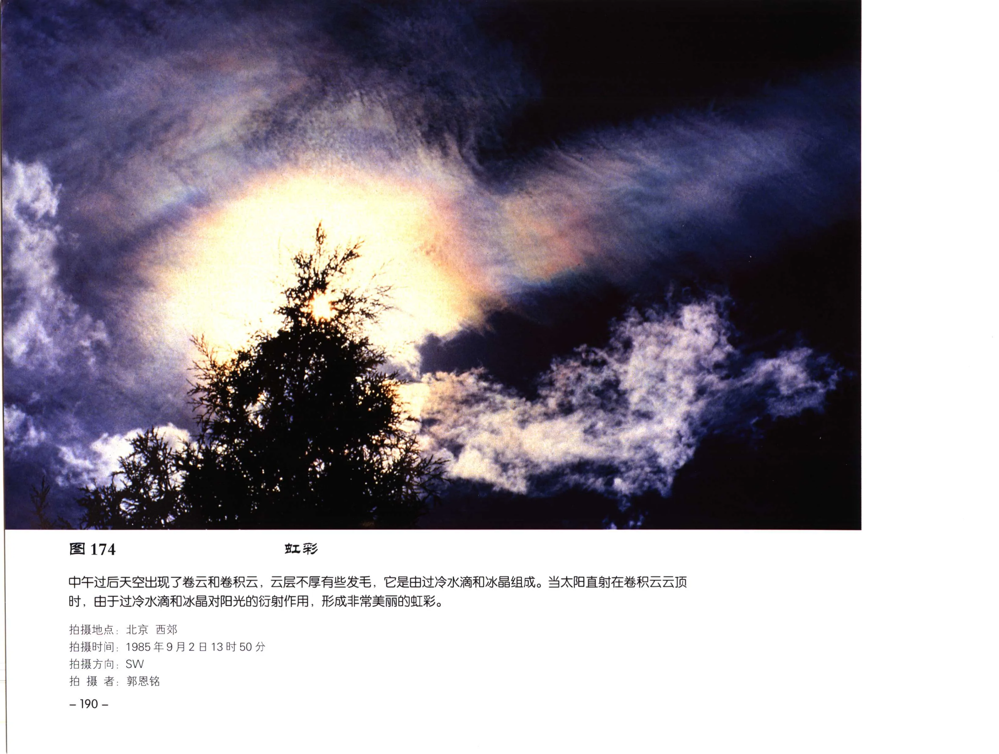 图 174