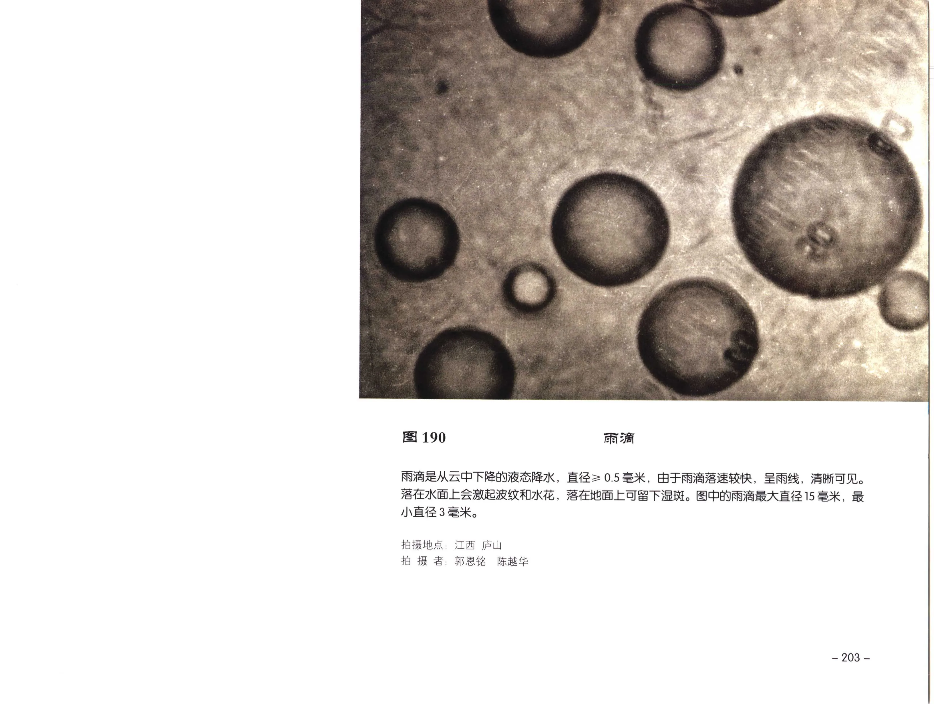PDF 第 215 页