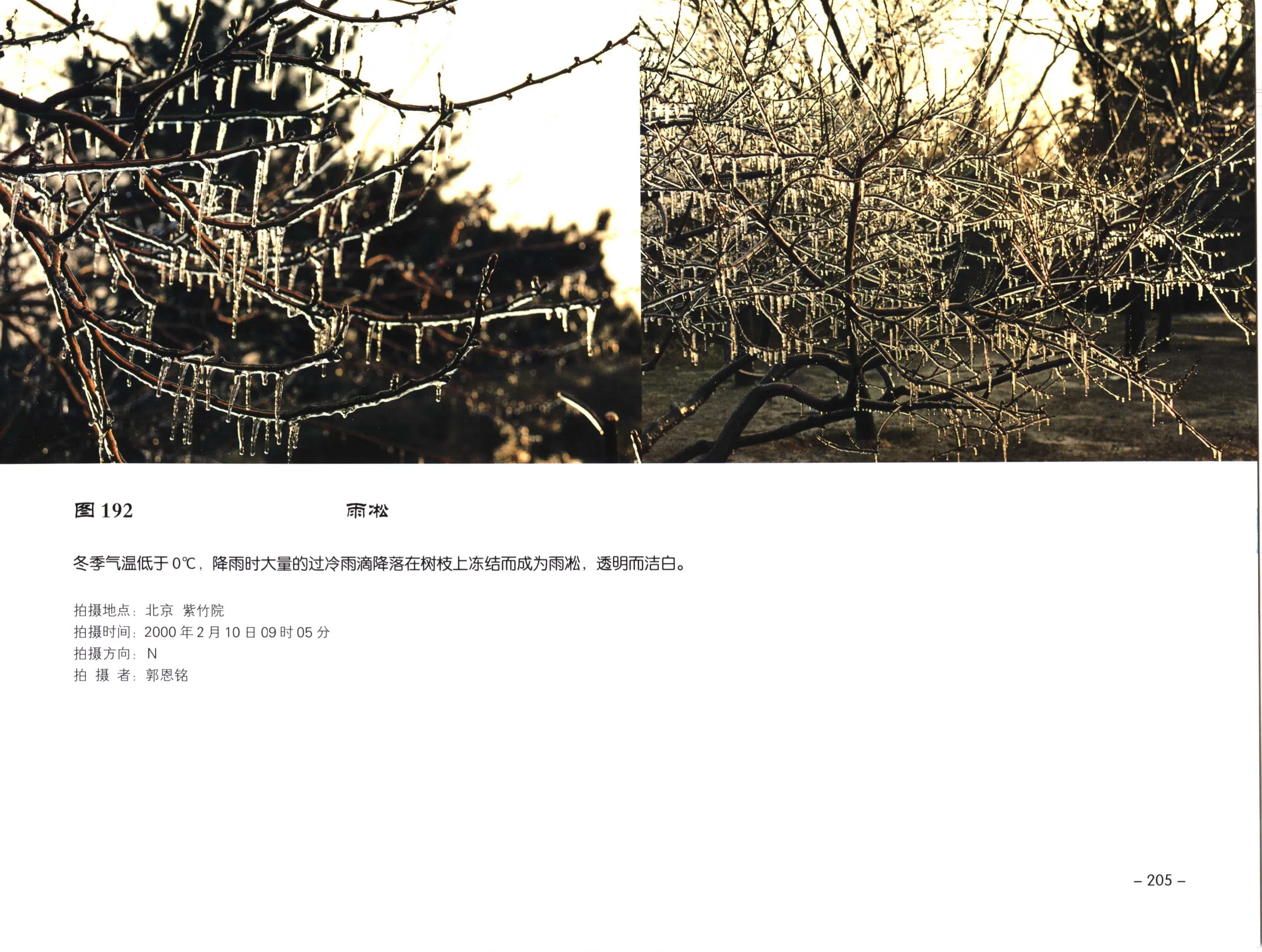 PDF 第 217 页