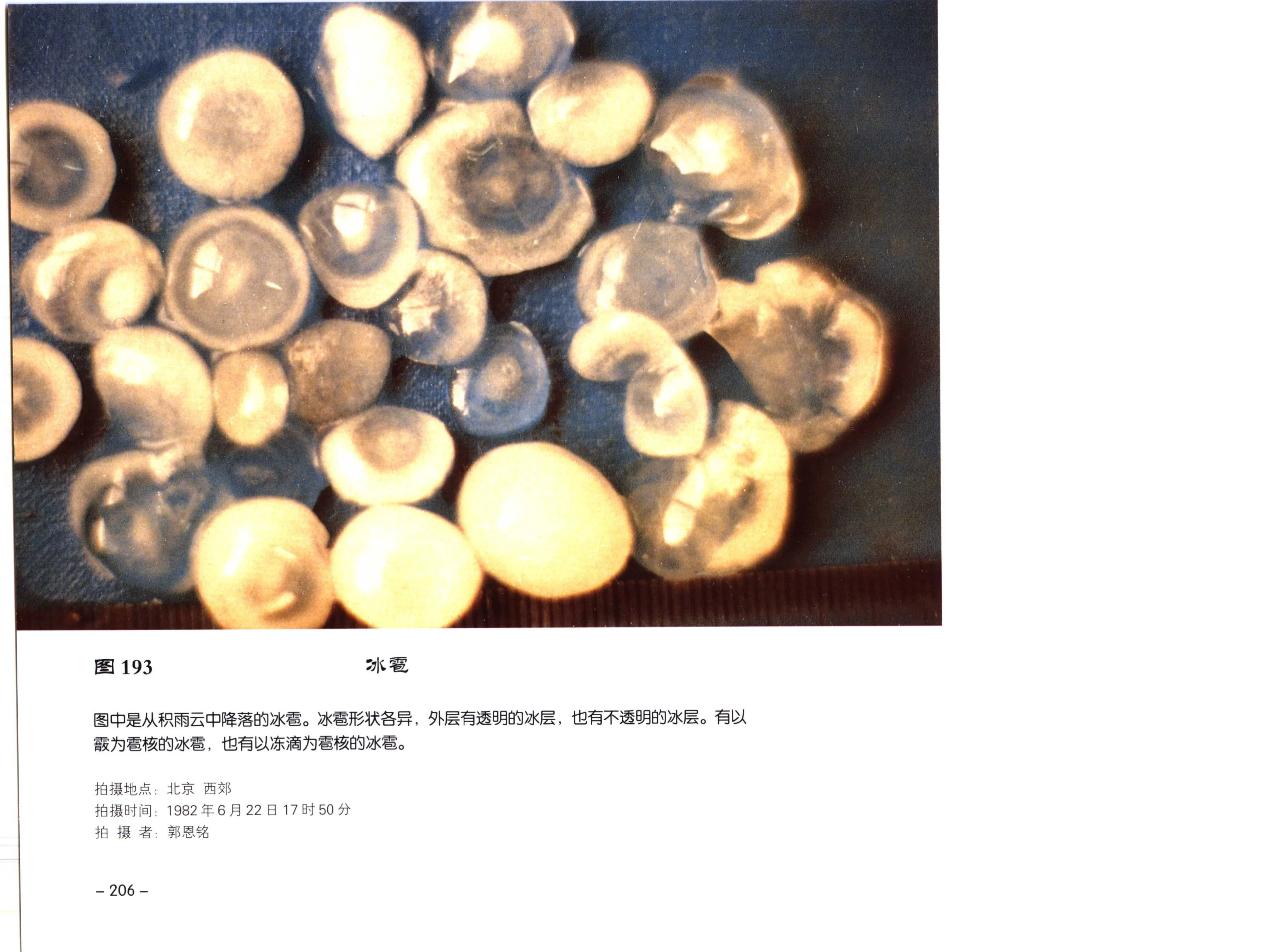 图 193