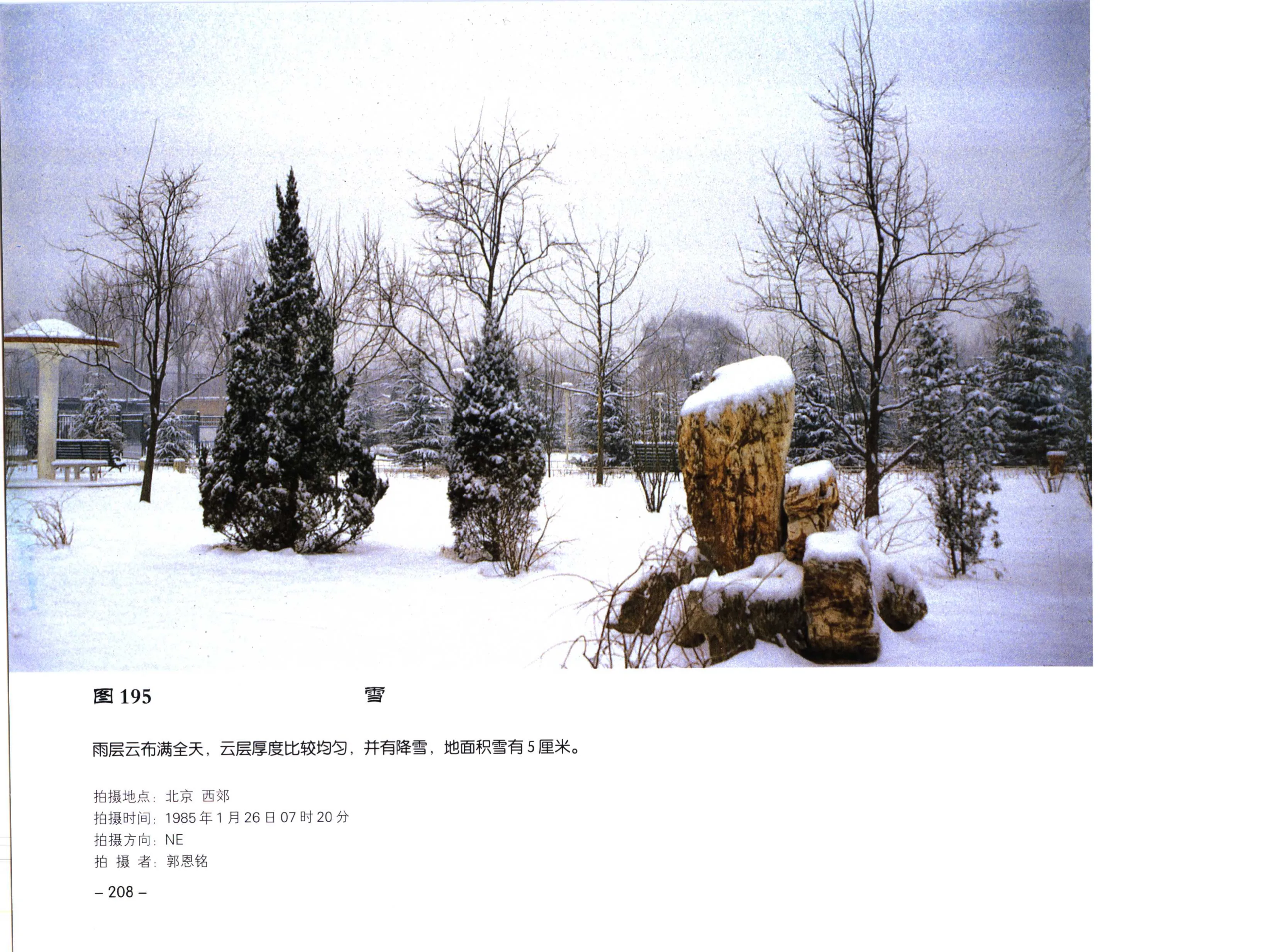 图 195