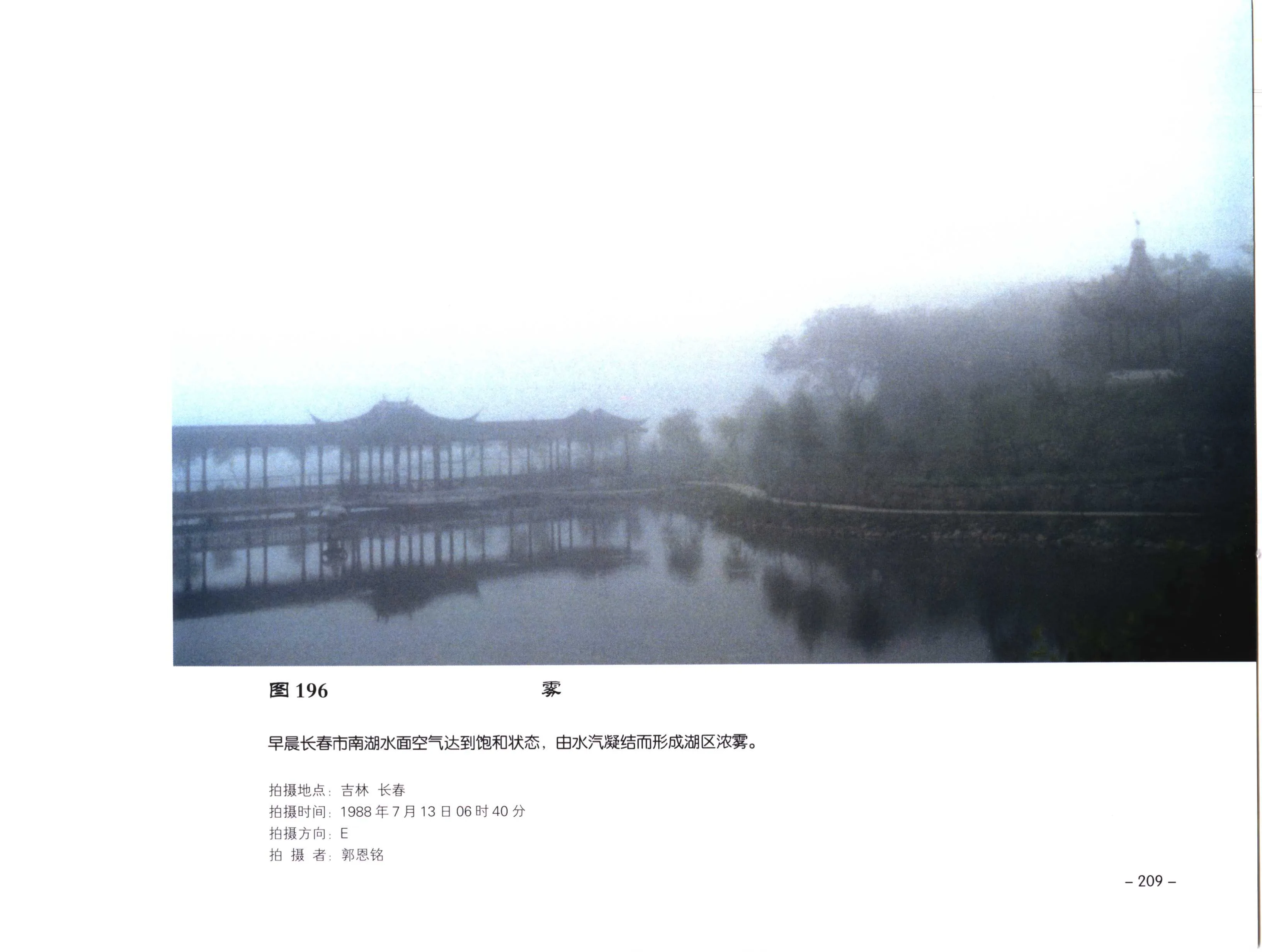 图 196