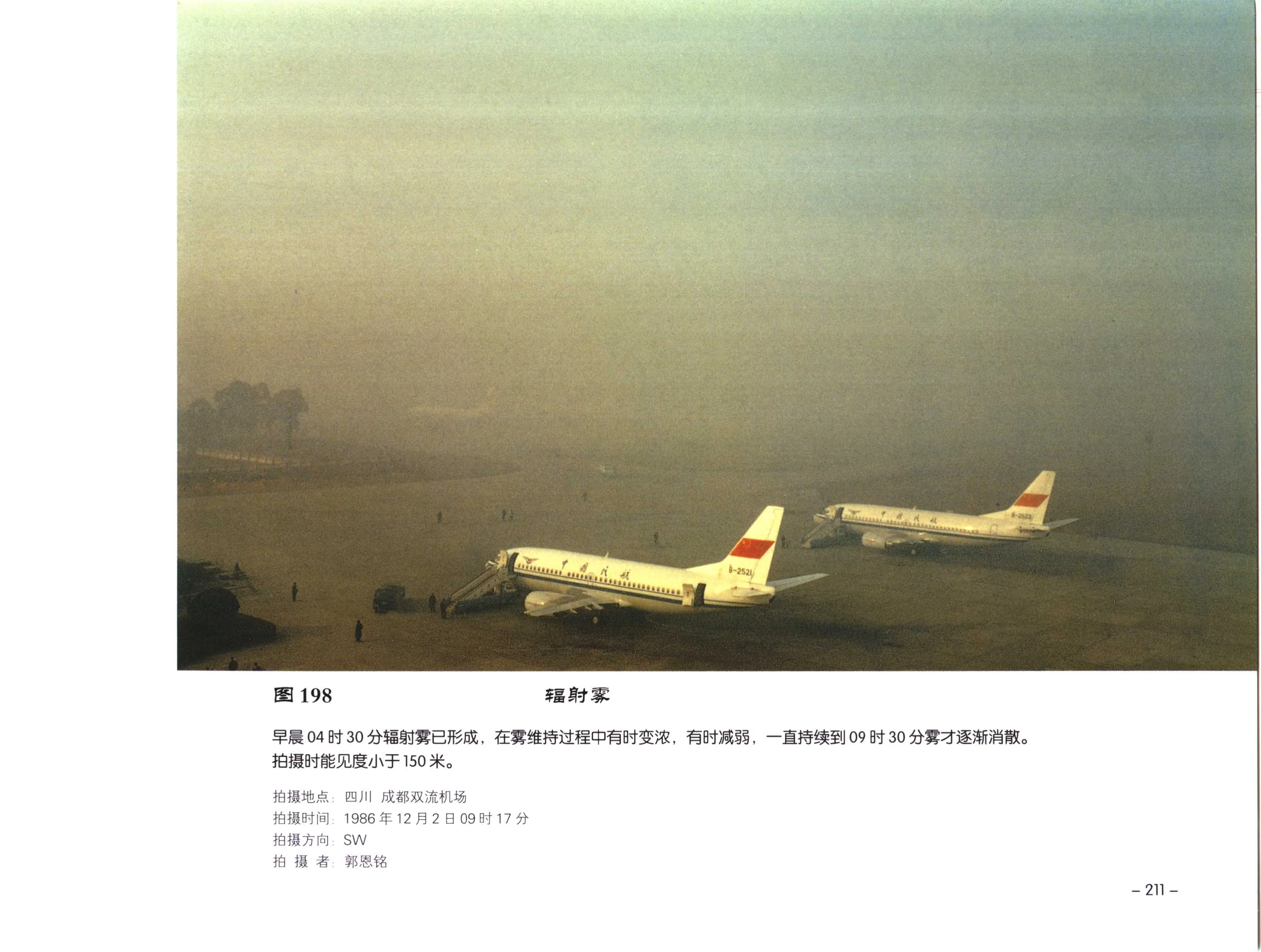 PDF 第 223 页