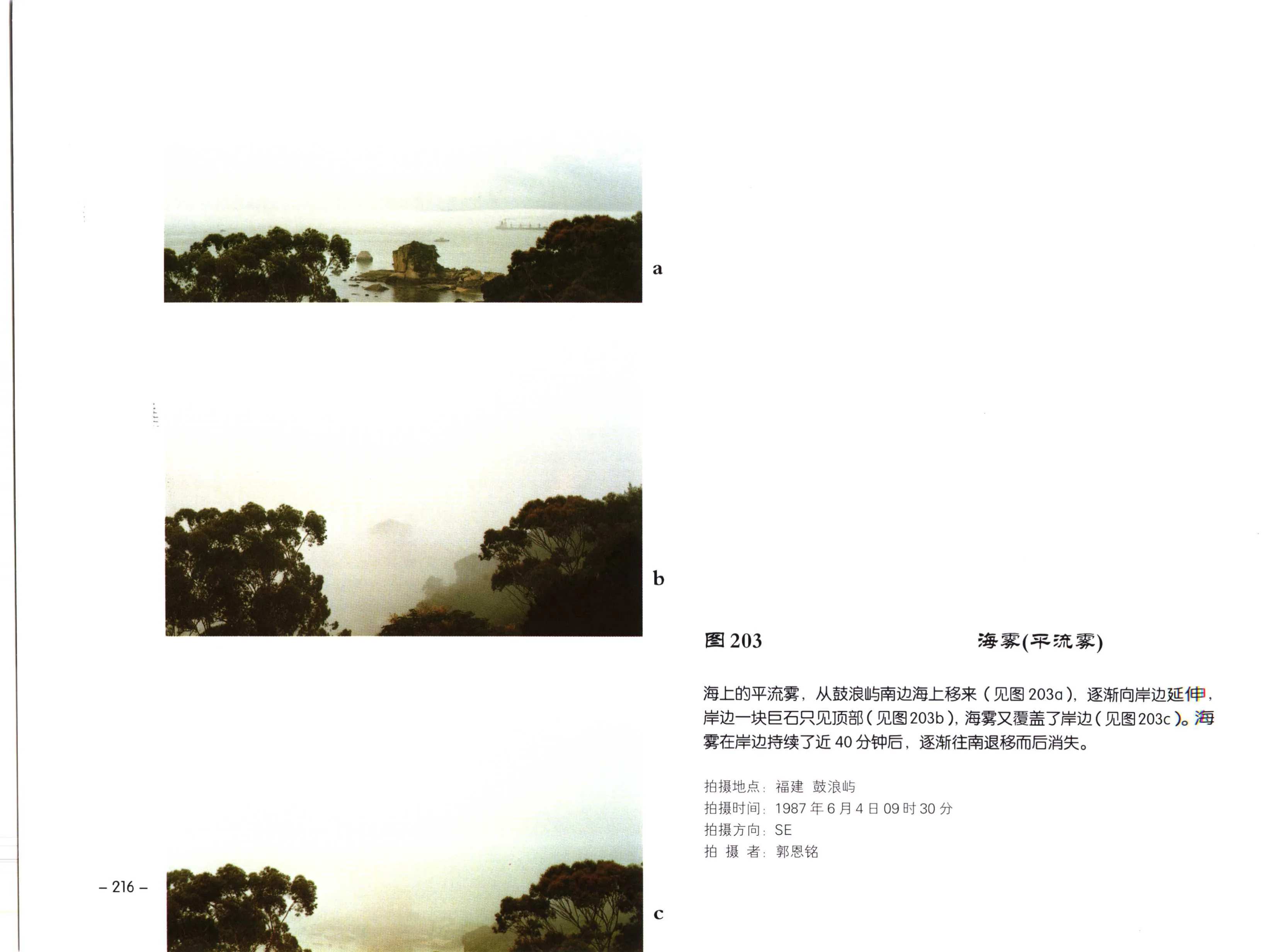 图 203