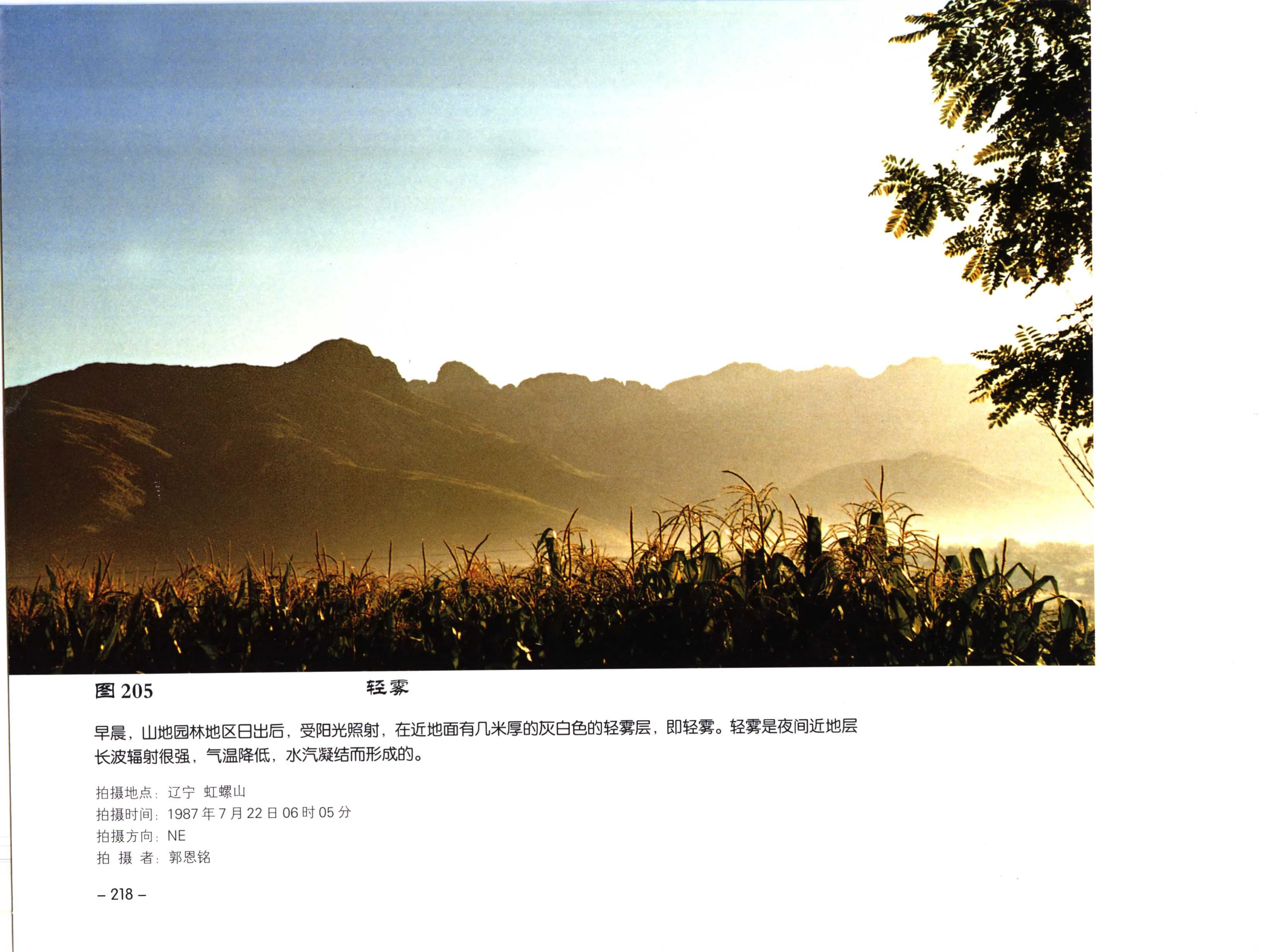 图 205