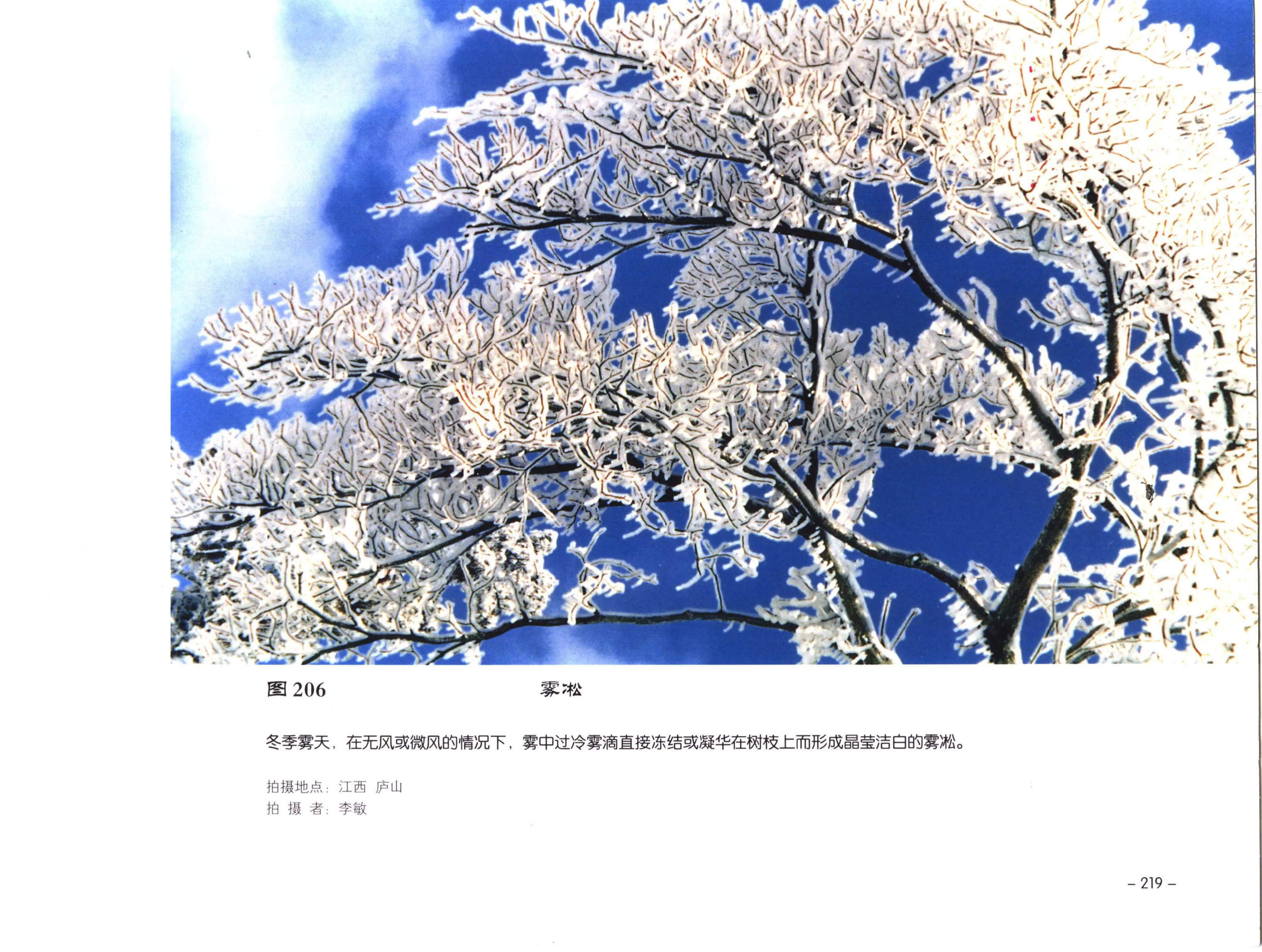 PDF 第 231 页