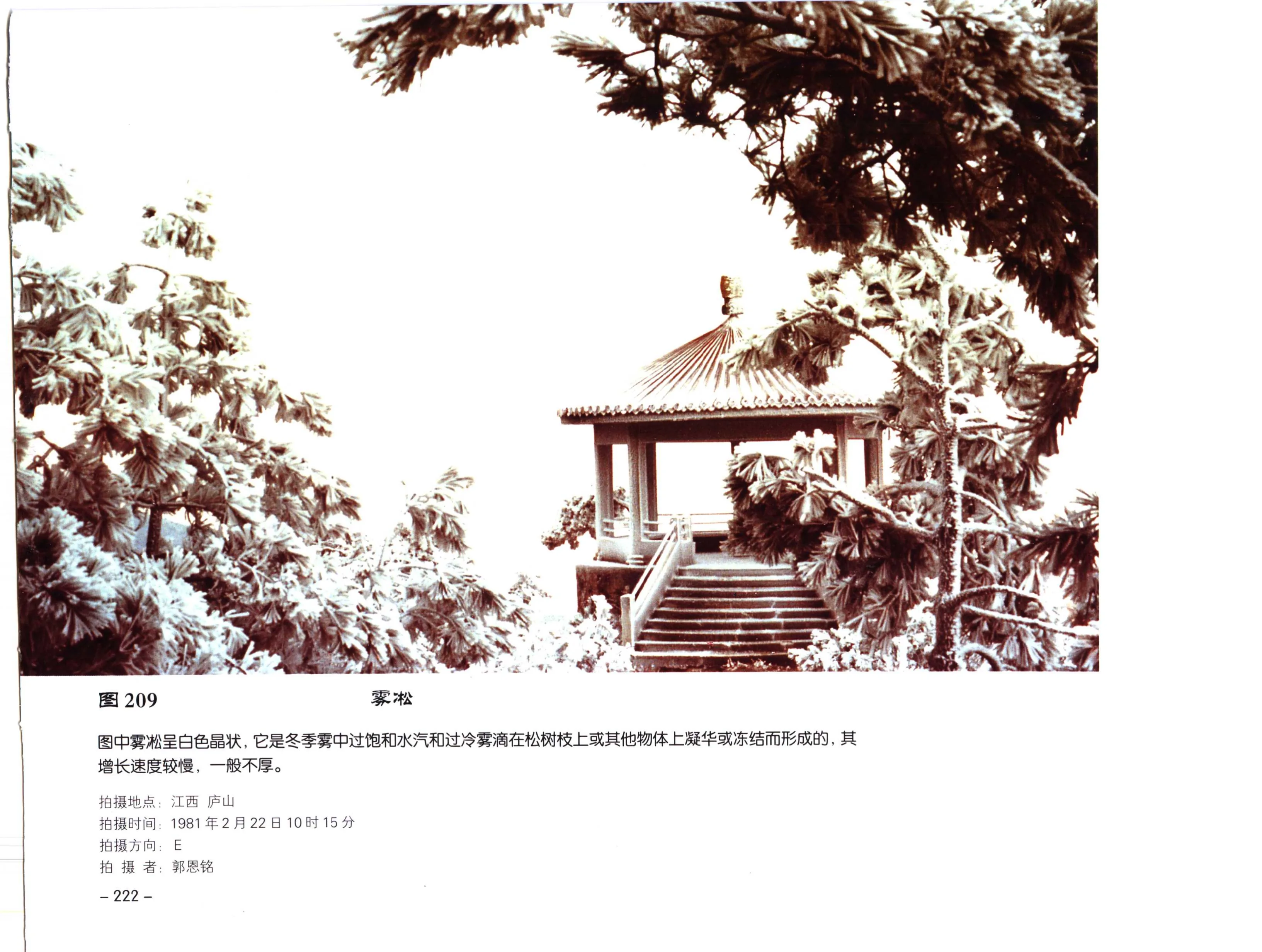 PDF 第 234 页