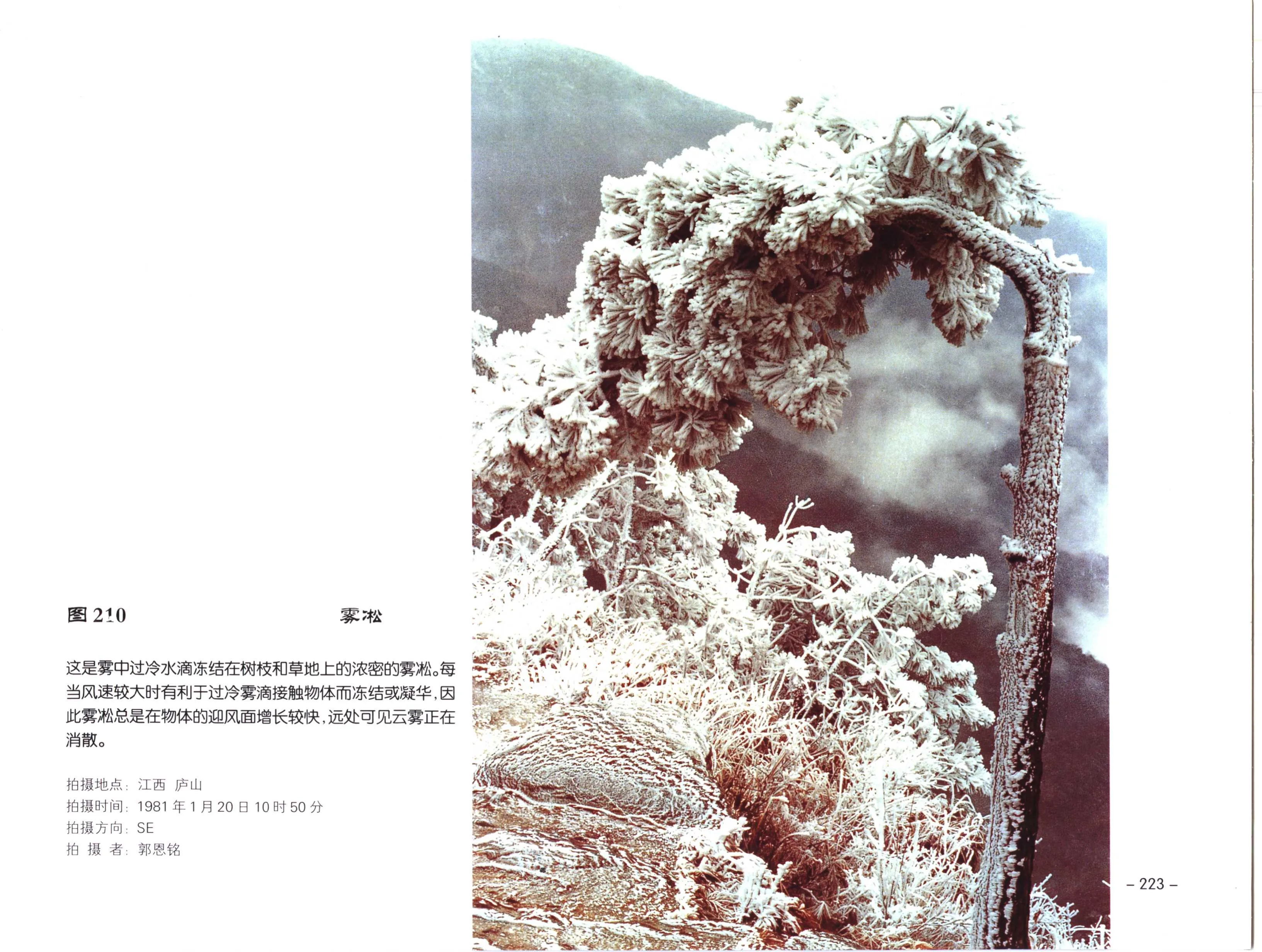 PDF 第 235 页