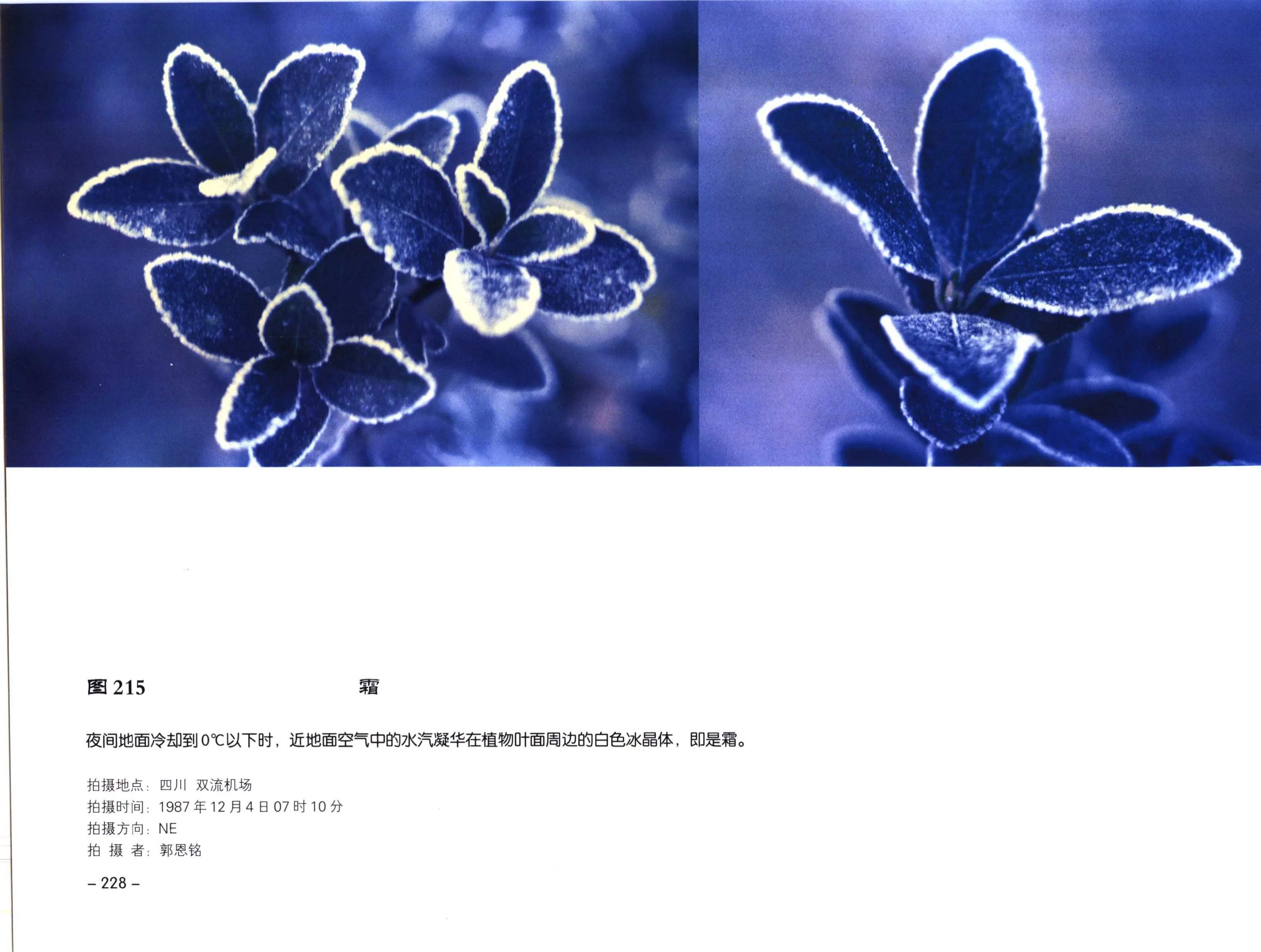 图 215