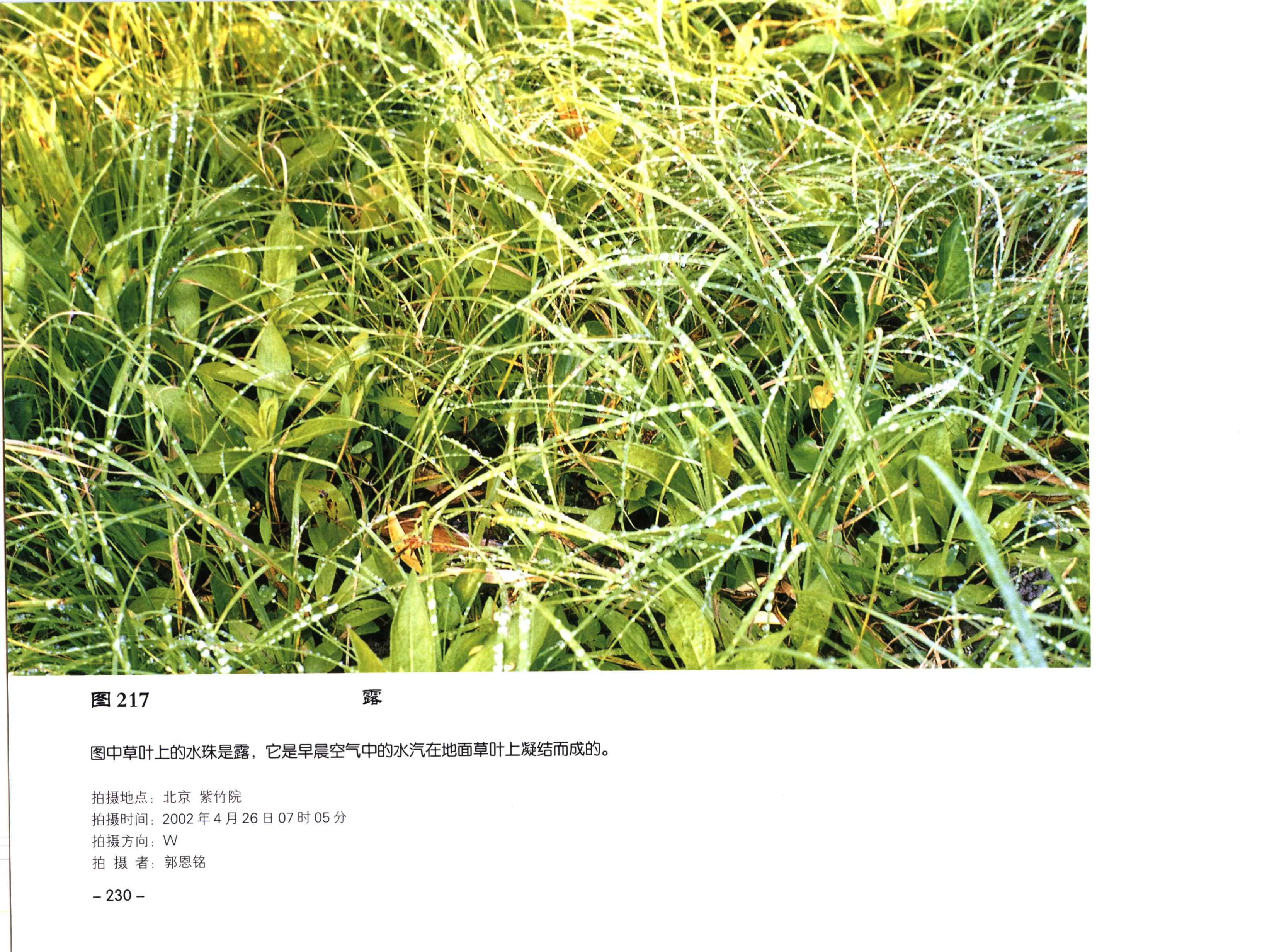 PDF 第 242 页