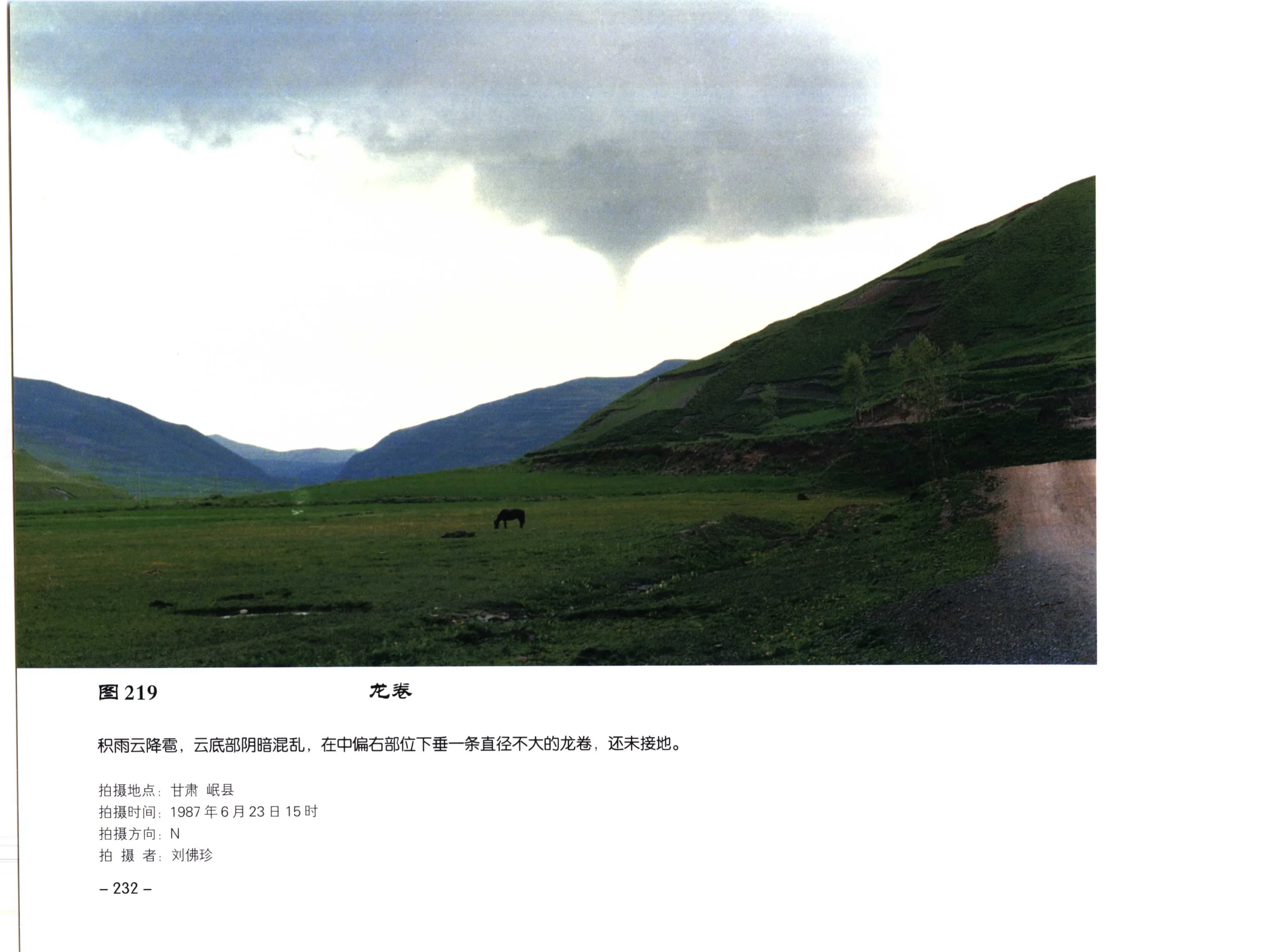 图 219